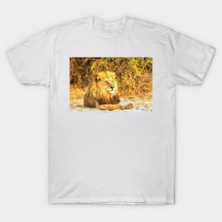 Magnificent Lion at Rest T-Shirt